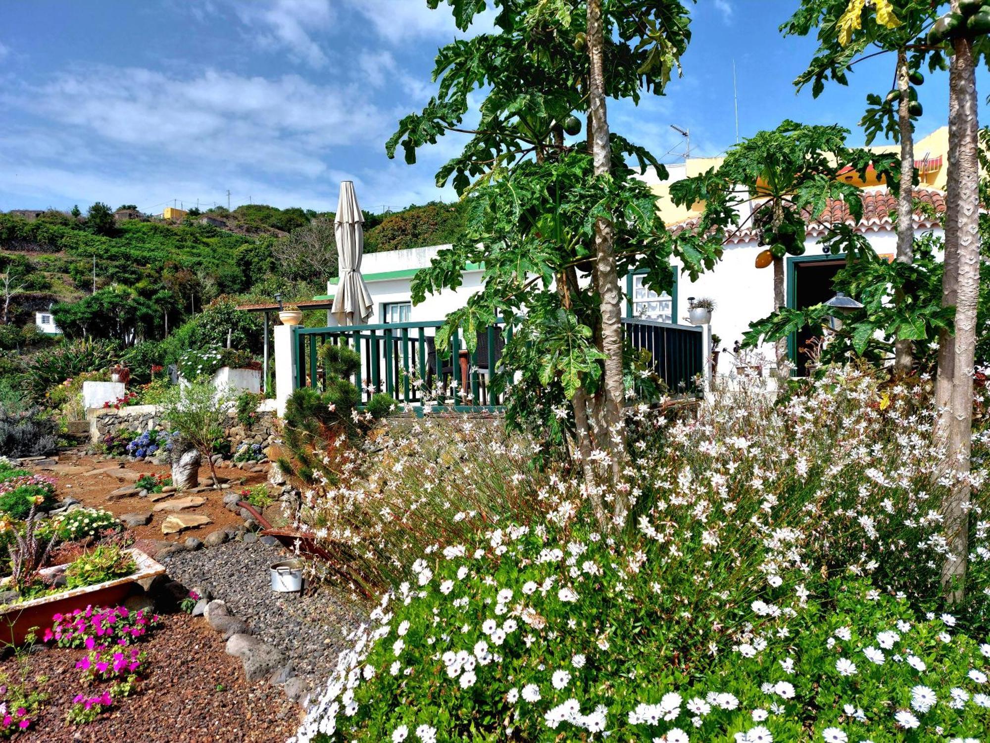 Eloina Villa Barlovento Bagian luar foto
